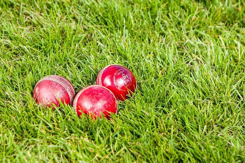 Colchester & East Essex Cricket Club