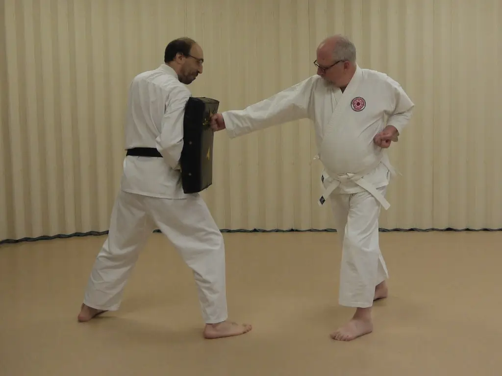 Budo Kai School of Traditional Karate