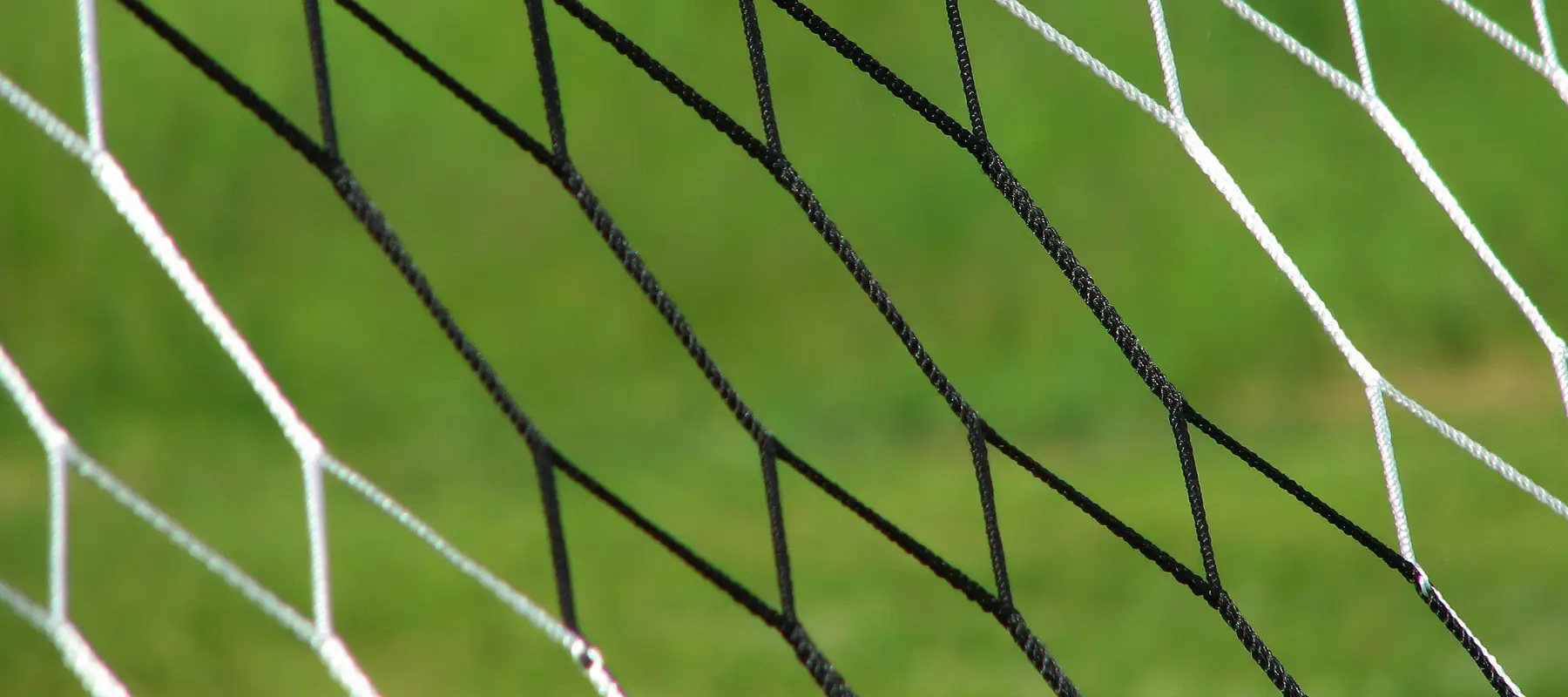 Newfoundland and Labrador Soccer Association
