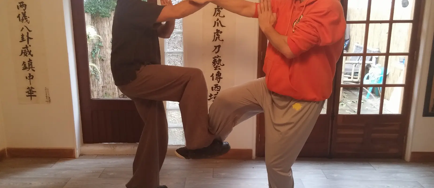 Tai Yin Wing Chun