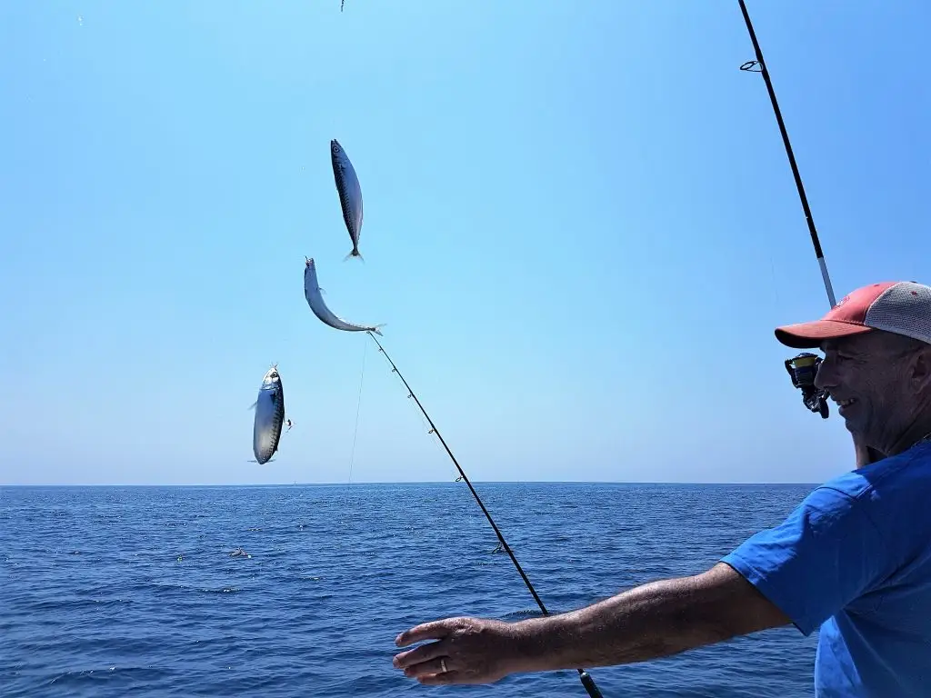 Obsession pêche 34