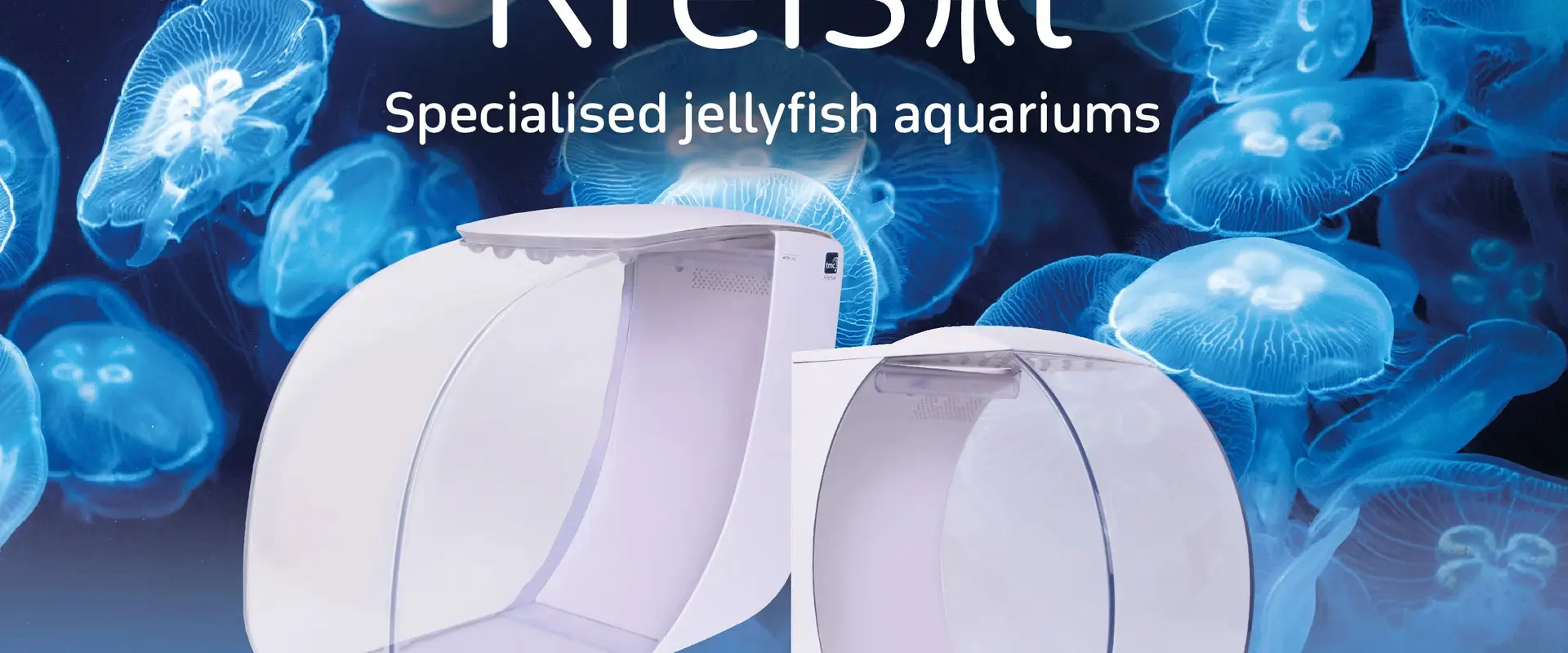 Love Corals Ltd