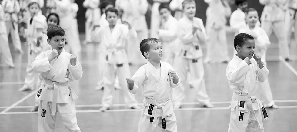 Hyo Gen Do Karate