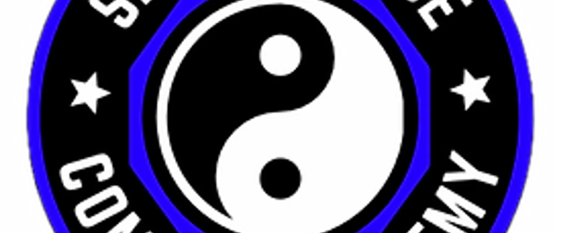 Self Defence Combat Academy