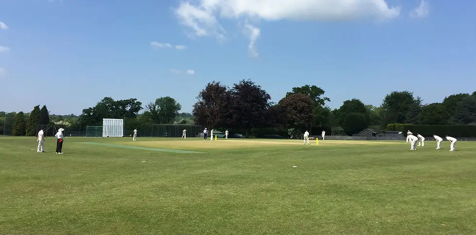 Abingworth Meadows Cricket Ground