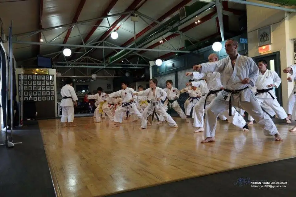 Limerick Shotokan Karatedo Shojinkai