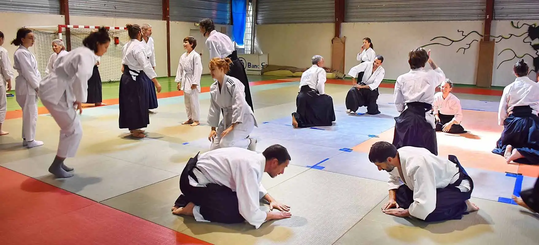 Aikido Auzeville 31