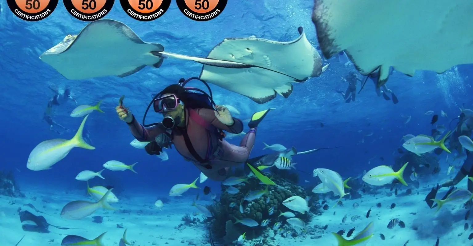 My Dive Center
