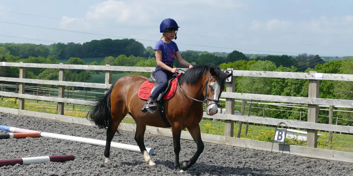 Deepdene Stables