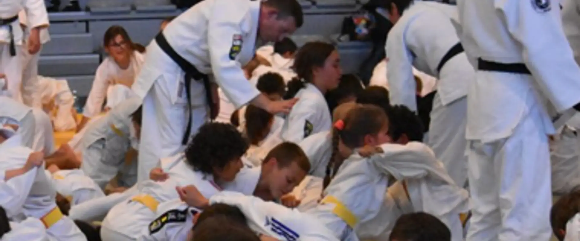 Judo Club Is Lyonnais Section Des Gratte Ciel