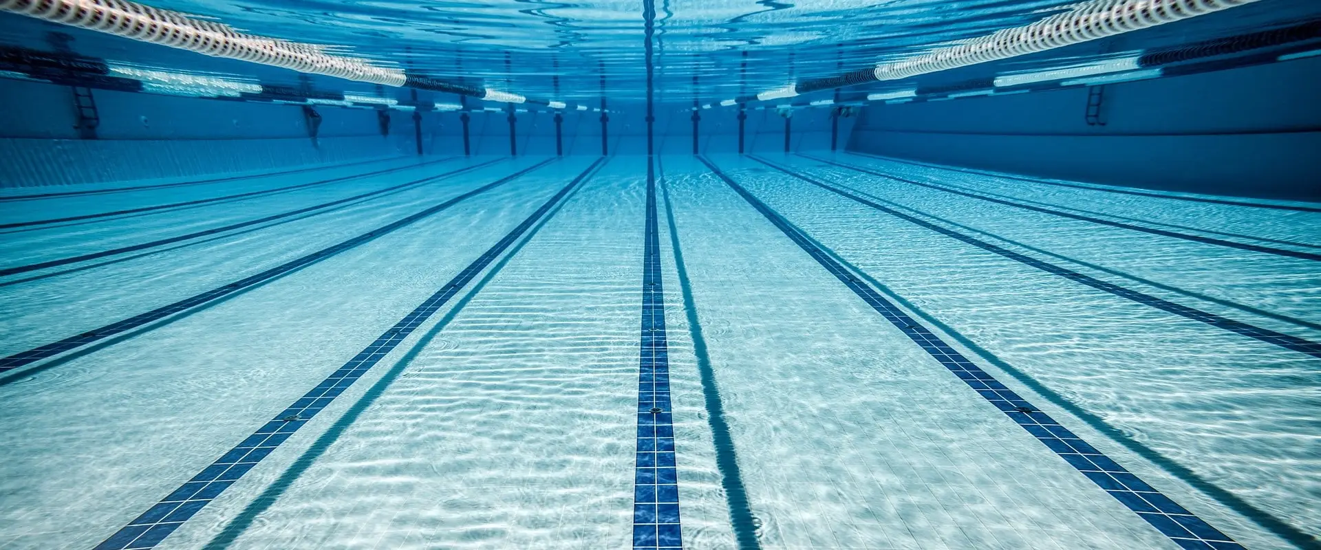 Best Swimming Class Singapore I Swim Dolphins Pte Ltd
