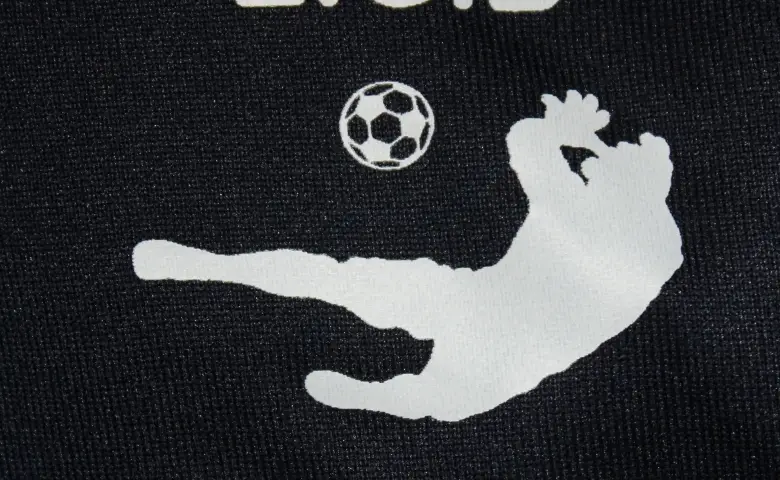 Racing Club du Pays de Fontainebleau