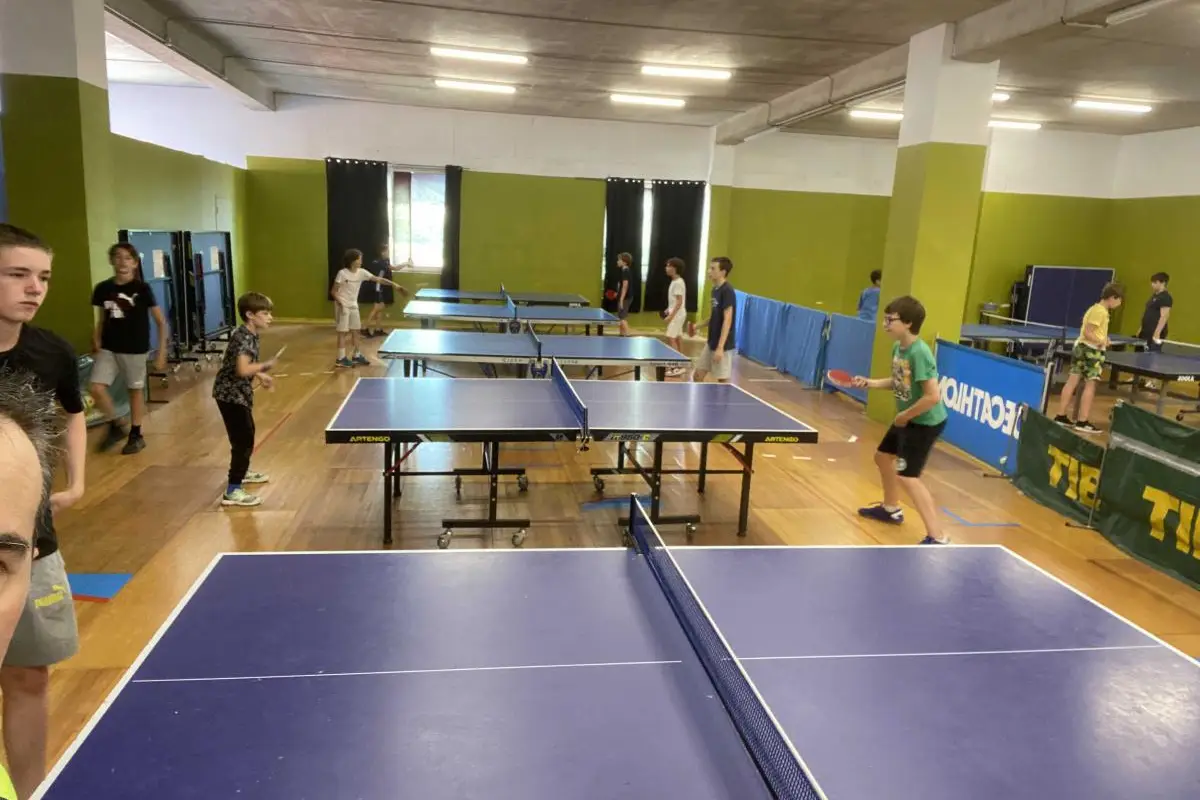 Le monde du pingpong