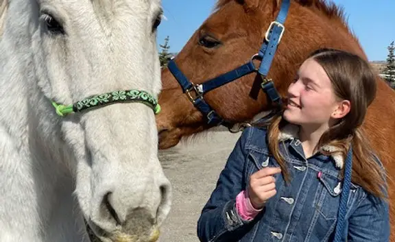 Discovering the Horse