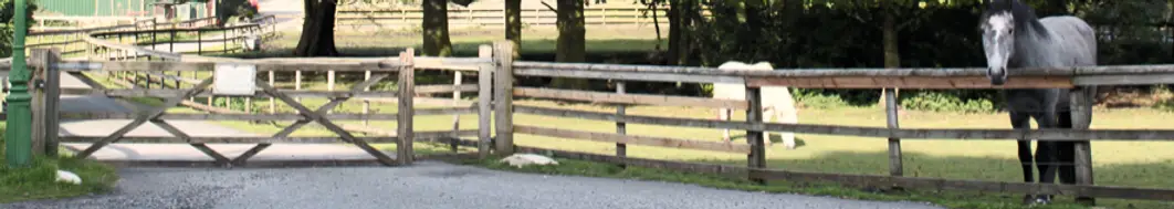 Burrows Lane Farm