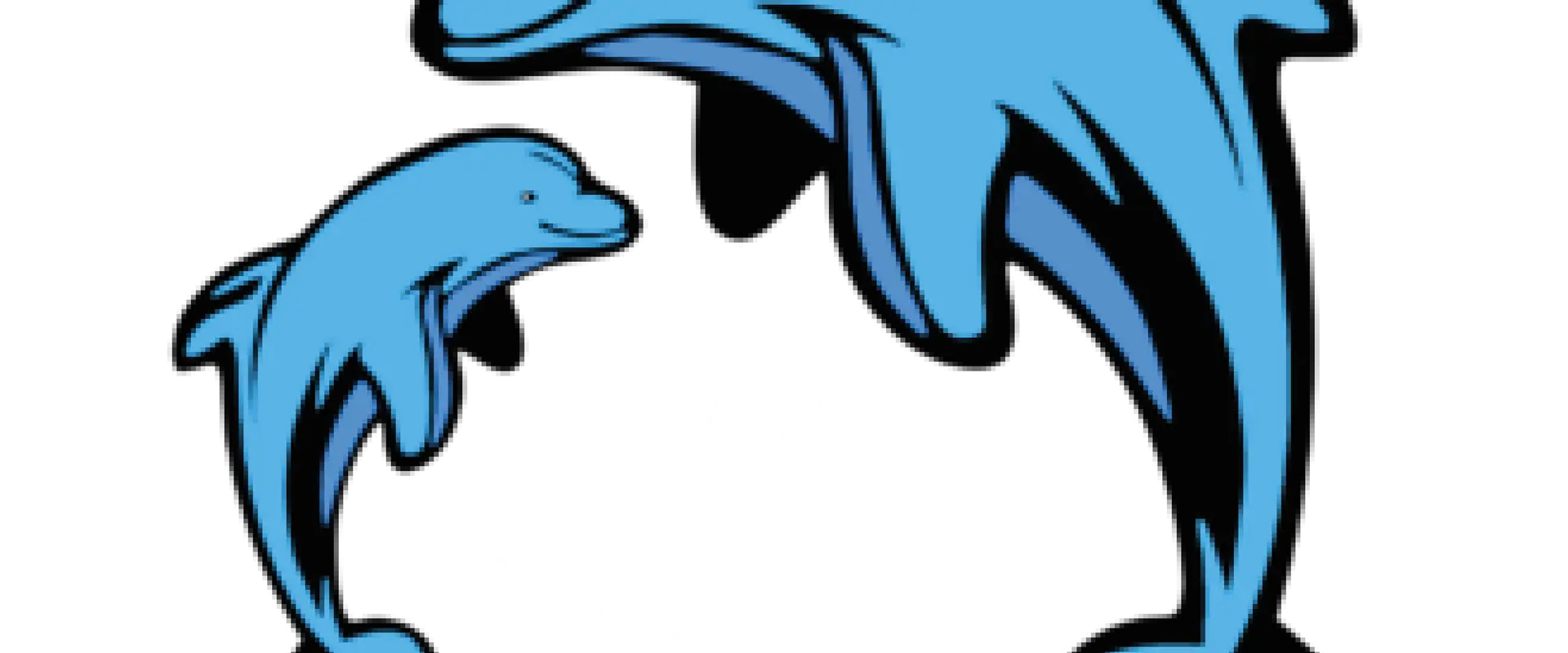 Mini Dolphins
