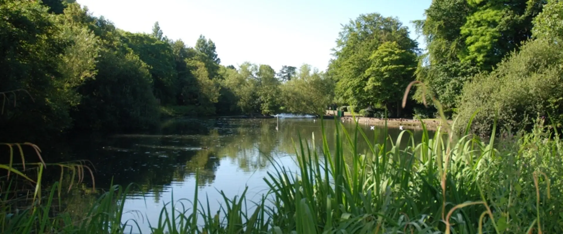 The Football Pitch Inside Mersey Park sta
