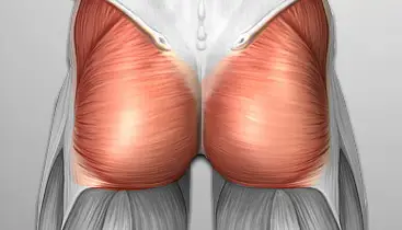 Optimal Movement
