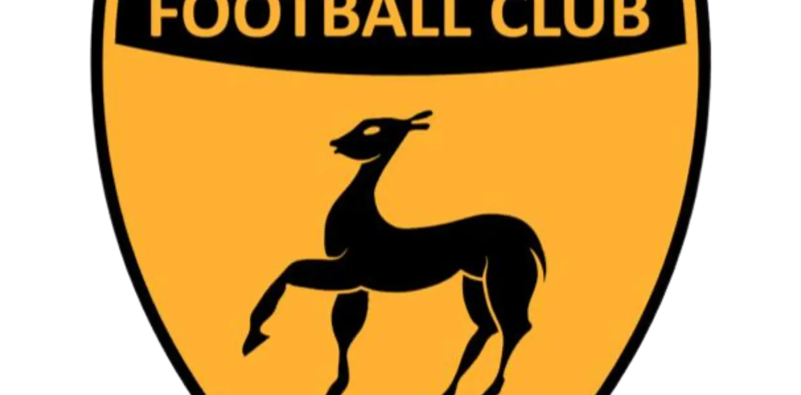 Cinque Ports Football Club