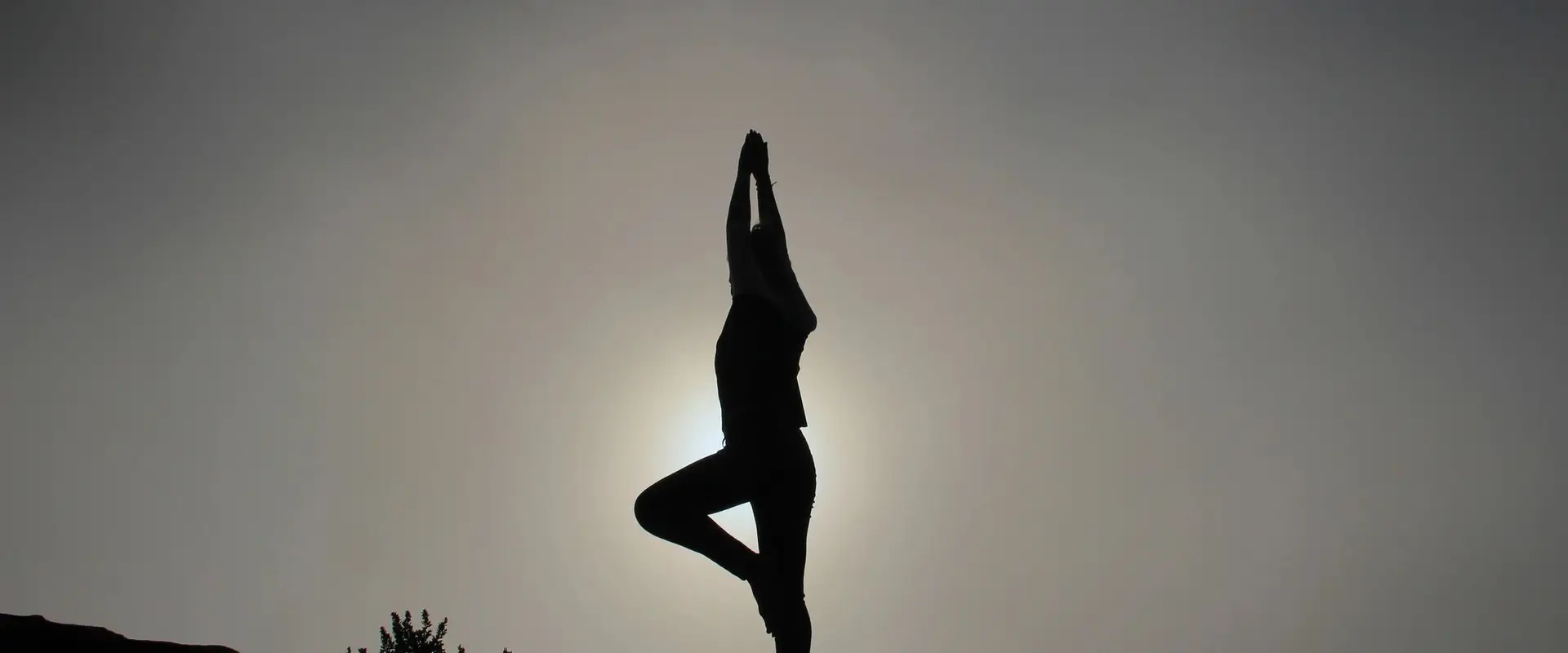 Yoga and Fitness Home - Pacification studio