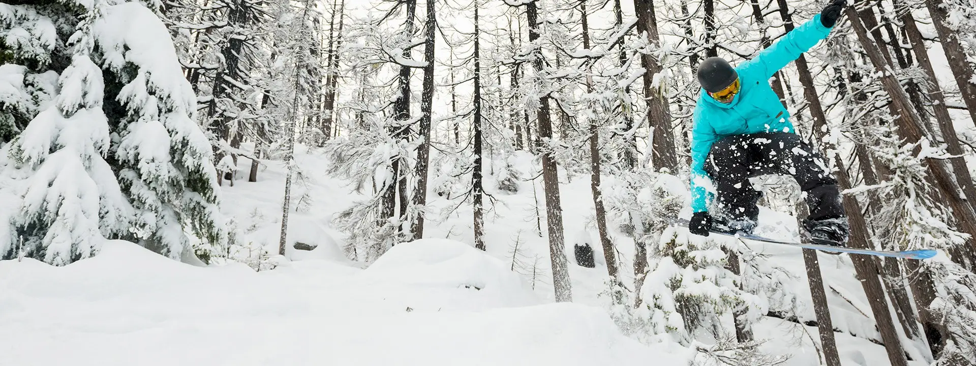 Pro Ride Snowboard Camps