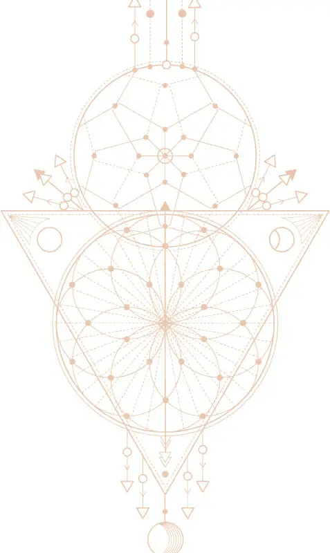 Mind Body Collective