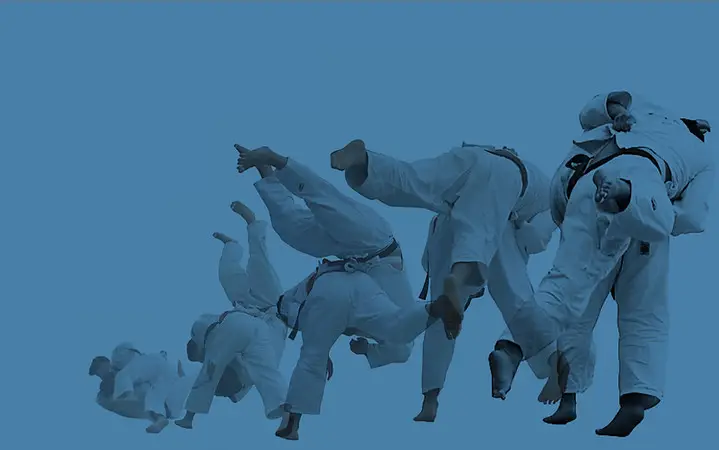 Tori Judo  