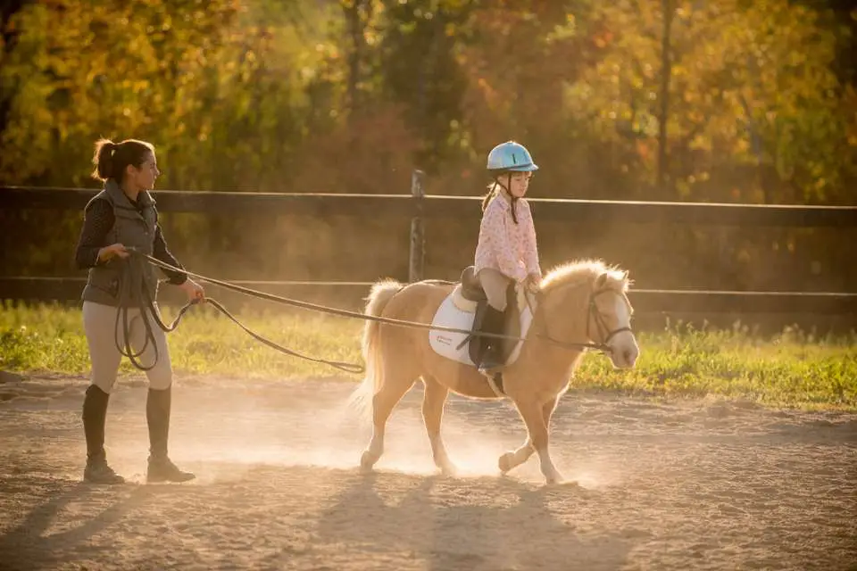 Adk Stables