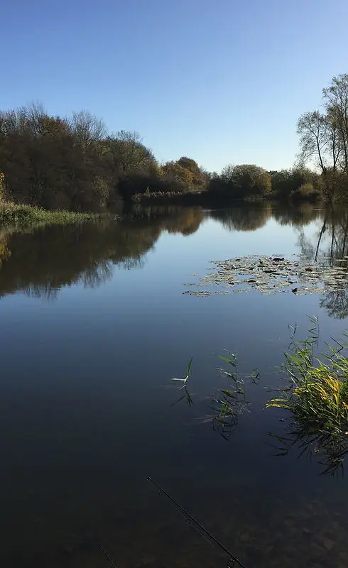 Doe's Angling Club