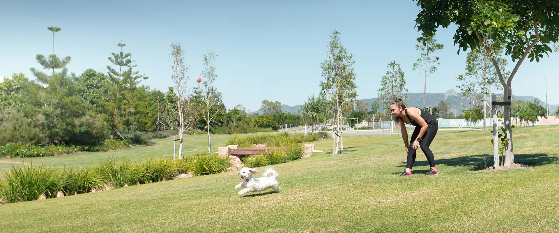 Harris Crossing Disc Golf