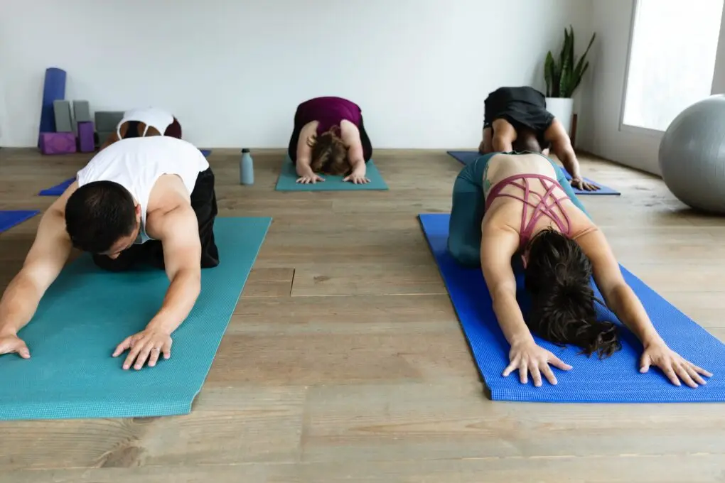 Gaia Tree Yoga - Aigueperse