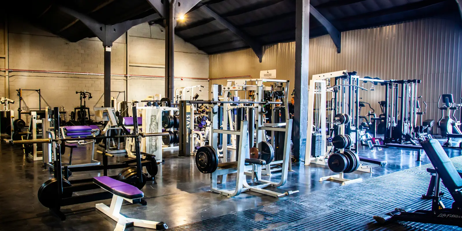 Falcon Fitness Frome Ltd