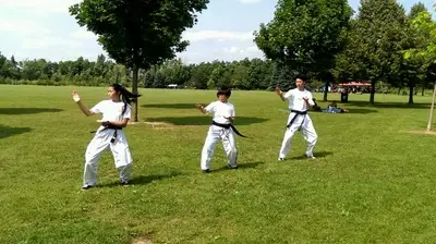 Master Teo's Taekwon Do