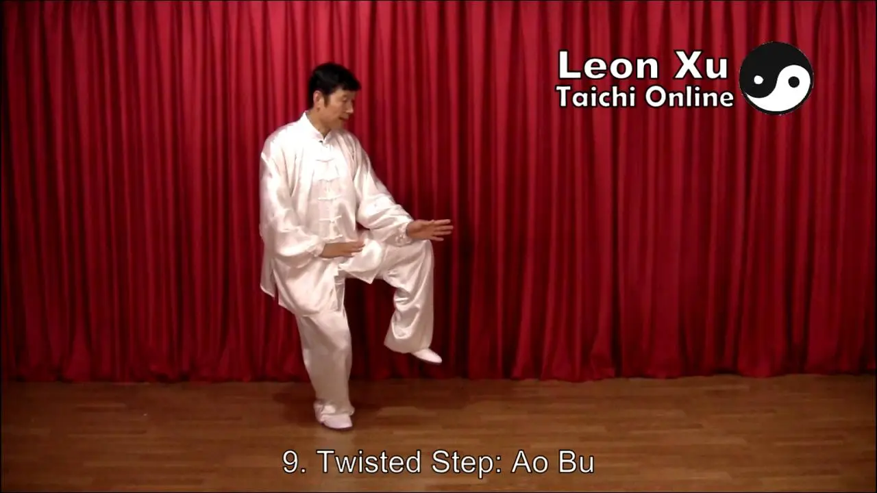 Sino-Wushu TaiChi Academy