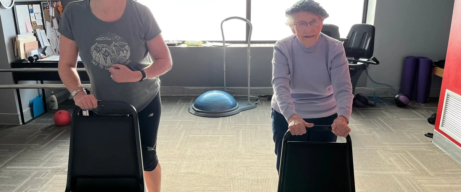 Bee Wellness Older Adult Fitness and Rehab Therapy