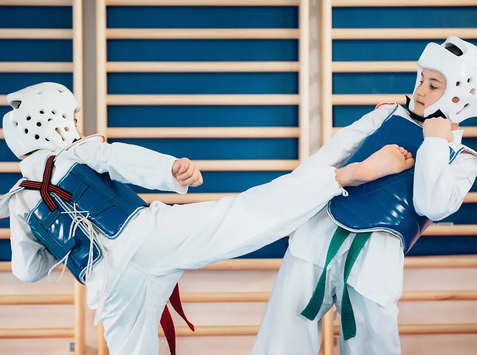 Hansu Taekwondo