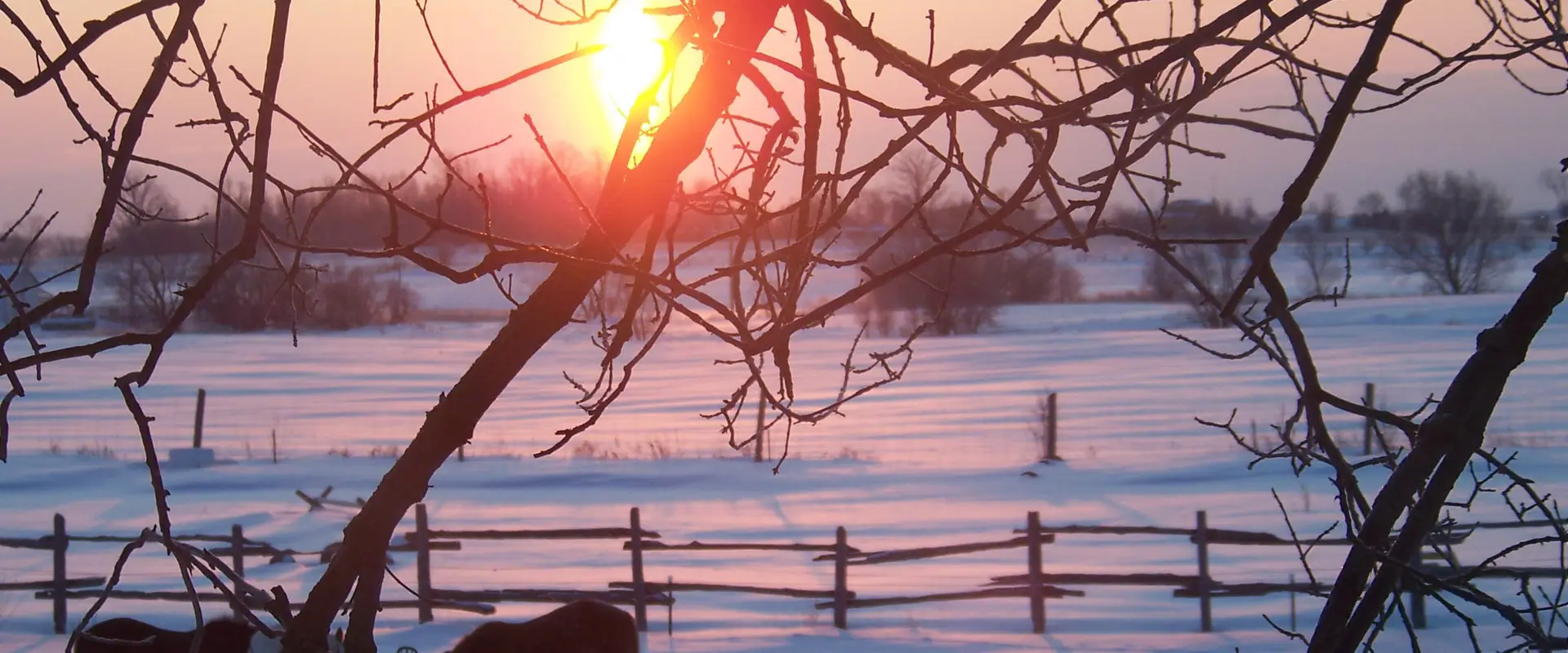 Caledon Equestrian School