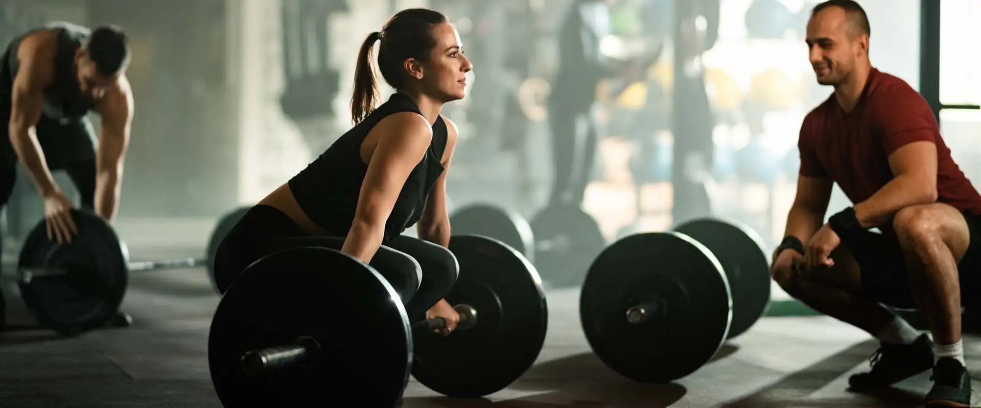 Evolution Fitness