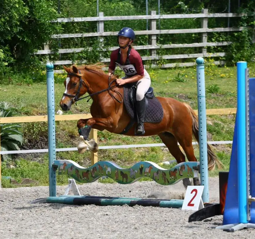 Red Piece Equestrian Stables