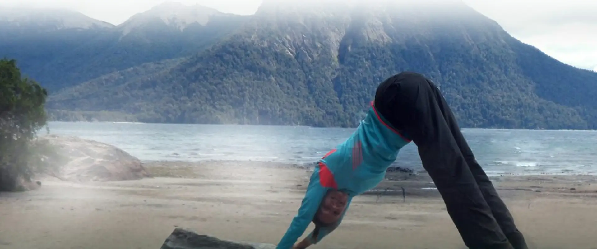 The Seeds of Yoga