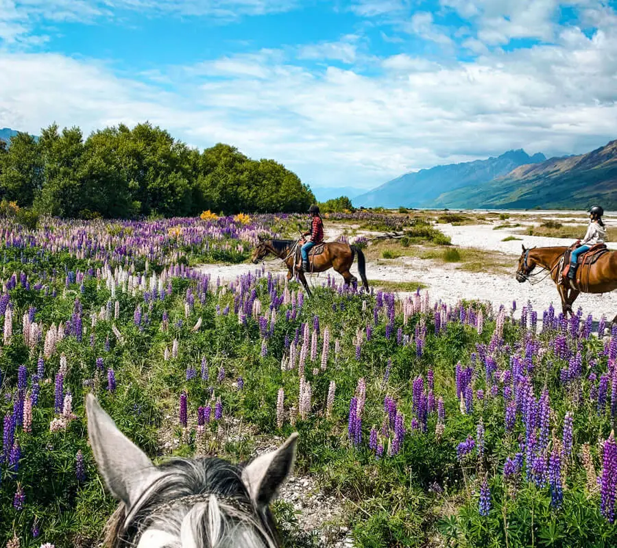 Lighthorse Adventures Horse Treks