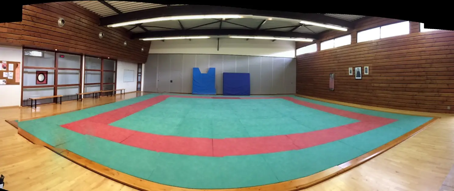 Zenshin Budo Ryu