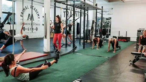 Primal Gym