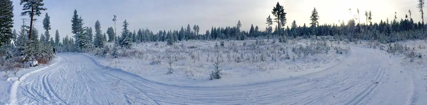 100 Mile Nordic Ski Society