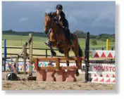Houston Farm Riding School