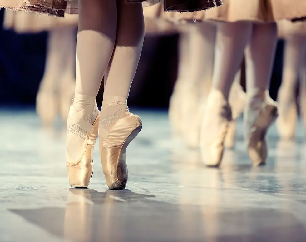 Company Evidanse