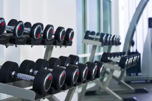Evolution Fitness