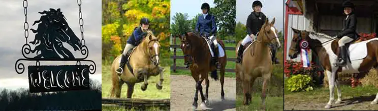 Corner Stone Farm Equestrian Centre