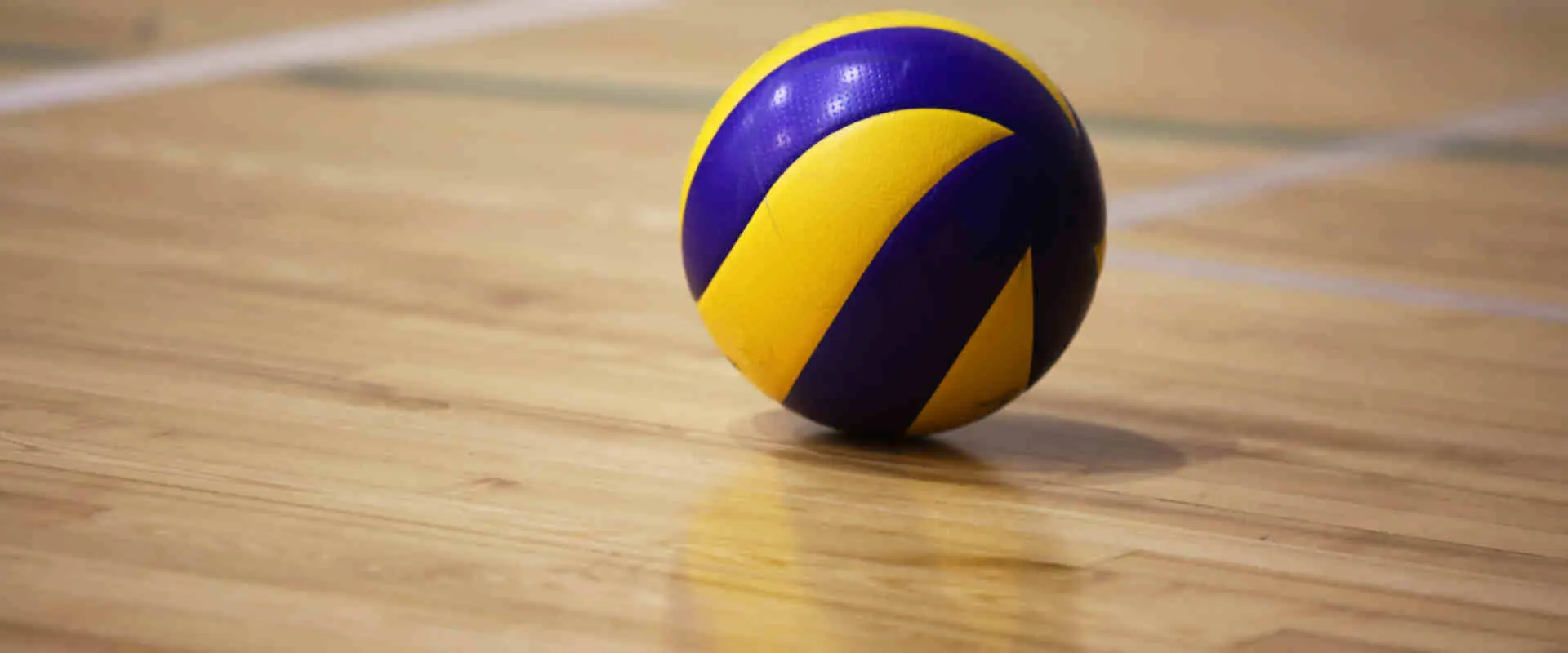 Capital Volley
