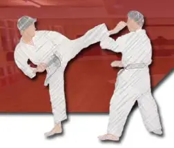 THE MIDLAND SHOTOKAN KARATE FEDERATION